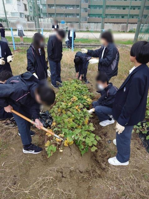 言葉責め 文字コラ 幼児 東大阪市立意岐部中学校-ニュース - おき中のこまど（おき中の日常） -