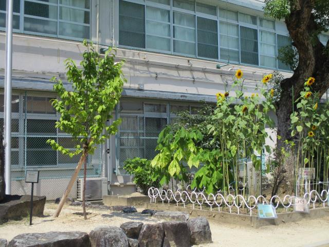 東大阪市立弥刀小学校 トップページ